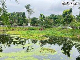 ONYX Hospitality (Thailand) Co., Ltd 07 พฤศจิกายน 2568