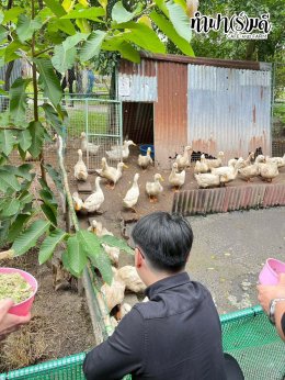 บริษัท ปตท.สำรวจและผลิตปิโตรเลียม จำกัด (มหาชน) 30 ตุลาคม 2568