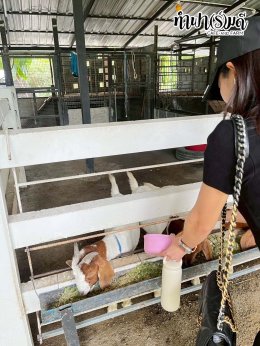 บริษัท ปตท.สำรวจและผลิตปิโตรเลียม จำกัด (มหาชน) 30 ตุลาคม 2568