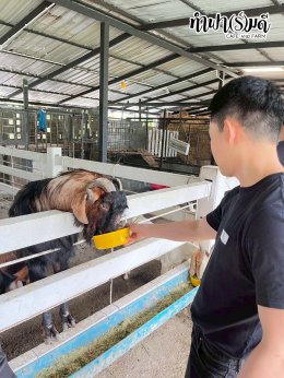 บริษัท ปตท.สำรวจและผลิตปิโตรเลียม จำกัด (มหาชน) 30 ตุลาคม 2568