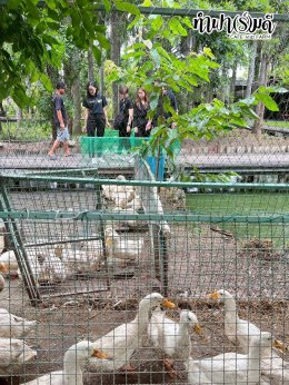 บริษัท ปตท.สำรวจและผลิตปิโตรเลียม จำกัด (มหาชน) 30 ตุลาคม 2568