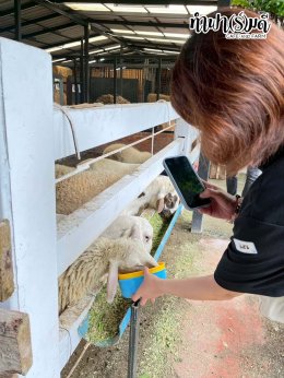 บริษัท ปตท.สำรวจและผลิตปิโตรเลียม จำกัด (มหาชน) 30 ตุลาคม 2568