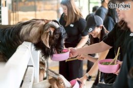 บริษัท ปตท.สำรวจและผลิตปิโตรเลียม จำกัด (มหาชน) 30 ตุลาคม 2568