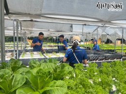  สำนักงาน ป.ป.ส. 20 มิถุนายน 2568