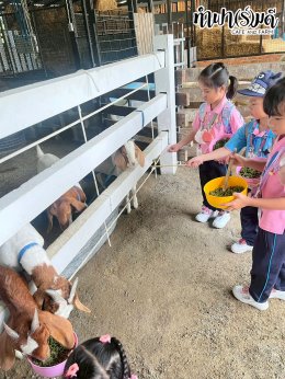 โรงเรียนภักดีพรรณ 26 กันยายน 2568