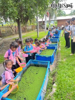 โรงเรียนภักดีพรรณ  26 กันยายน 2568