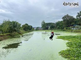 บริษัท ยูซีแอล เอ็กซ์เพิร์ท จำกัด 17 พฤศจิกายน 2568