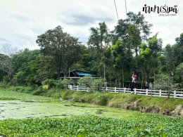 บริษัท ยูซีแอล เอ็กซ์เพิร์ท จำกัด 17 พฤศจิกายน 2568