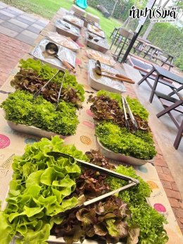 คณะกรรมการเครือข่าย ศพก. และคณะกรรมการเครือข่ายแปลงใหญ่ ระดับจังหวัด จังหวัดชลบุรี 18 กุมภาพันธ์ 2568