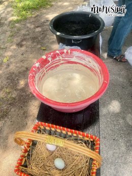 โรงเรียนสาธิตปทุมวัน 7 ตุลาคม 2568