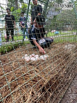 โรงเรียนสาธิตปทุมวัน 7 ตุลาคม 2568