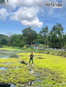 โรงเรียนสาธิตปทุมวัน 7 ตุลาคม 2568