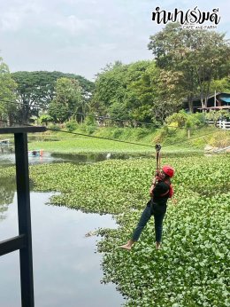 บริษัท ออโต้อัลลายแอนซ์ (ประเทศไทย) จำกัด 12 ธันวาคม 2568