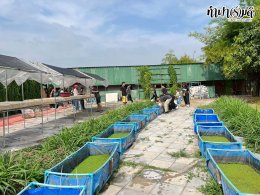 บริษัท ฮิวเทค (เอเชีย) จำกัด 12 ธันวาคม 2568