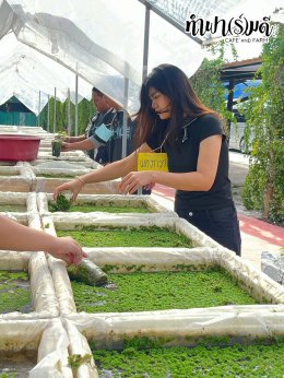 บริษัท ฮิวเทค (เอเชีย) จำกัด 12 ธันวาคม 2568