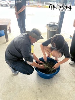 บริษัท ฮิวเทค (เอเชีย) จำกัด 12 ธันวาคม 2568