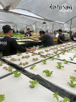 บริษัท ฮิวเทค (เอเชีย) จำกัด 12 ธันวาคม 2568