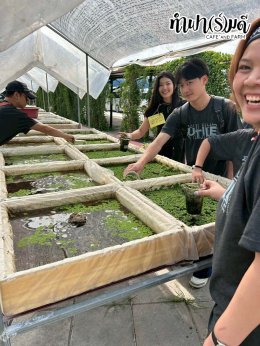 บริษัท ออโต้อัลลายแอนซ์ (ประเทศไทย) จำกัด 12 ธันวาคม 2568