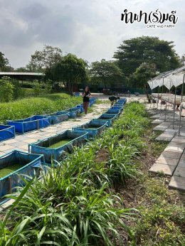 บริษัท ออโต้อัลลายแอนซ์ (ประเทศไทย) จำกัด 12 ธันวาคม 2568