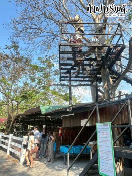 บริษัท เมิร์จ คอมพาเนี่ยน (ประเทศไทย) จำกัด 27 มกราคม 2569