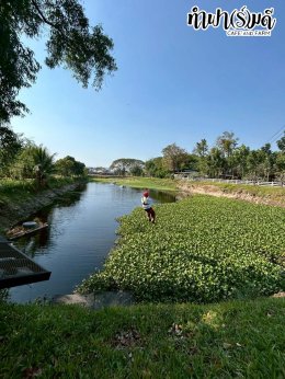 บริษัท เมิร์จ คอมพาเนี่ยน (ประเทศไทย) จำกัด 27 มกราคม 2569