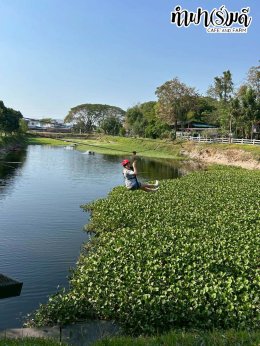 บริษัท เมิร์จ คอมพาเนี่ยน (ประเทศไทย) จำกัด 27 มกราคม 2569