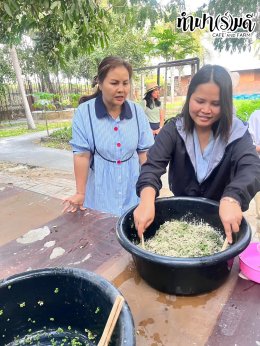 บริษัท เอสซีลอร์ ออพติคอล แลบอราทอรี (ประเทศไทย) จำกัด 31 มกราคม 2568