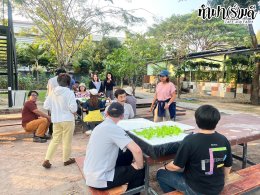 บริษัท เอสซีลอร์ ออพติคอล แลบอราทอรี (ประเทศไทย) จำกัด 31 มกราคม 2568