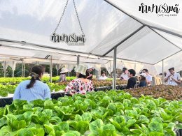 บริษัท เอสซีลอร์ ออพติคอล แลบอราทอรี (ประเทศไทย) จำกัด 31 มกราคม 2568