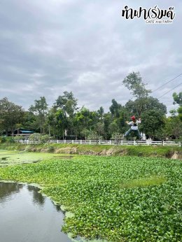 บริษัท เอส เอส ที โปรเฟสชั่นแนล จำกัด 22 พฤศจิกายน 2568