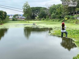 บริษัท เอส เอส ที โปรเฟสชั่นแนล จำกัด 22 พฤศจิกายน 2568