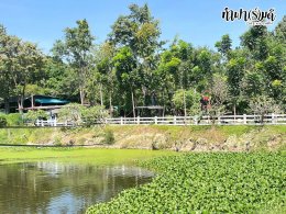 บริษัท เอ็น.เอส. คราฟท์ แอคเค้าท์ติ้ง 27 พฤศจิกายน 2568