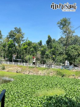 บริษัท เอ็น.เอส. คราฟท์ แอคเค้าท์ติ้ง 27 พฤศจิกายน 2568