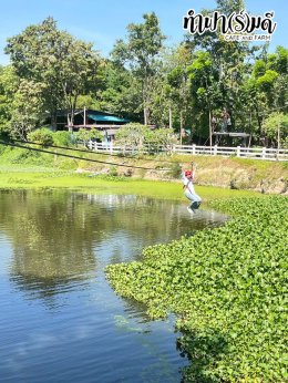 บริษัท เอ็น.เอส. คราฟท์ แอคเค้าท์ติ้ง 27 พฤศจิกายน 2568