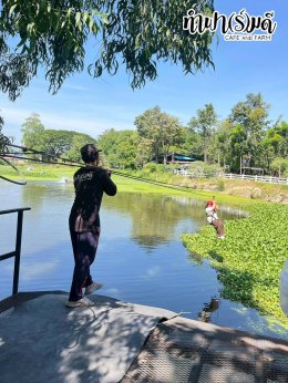 บริษัท เอ็น.เอส. คราฟท์ แอคเค้าท์ติ้ง 27 พฤศจิกายน 2568