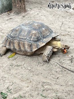 ManpowerGroup 21 พฤศจิกายน 2568