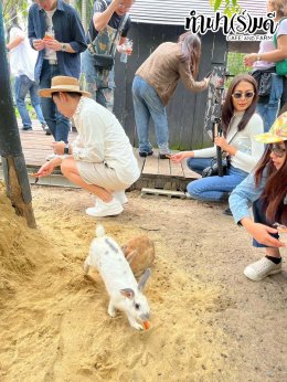 ManpowerGroup 21 พฤศจิกายน 2568