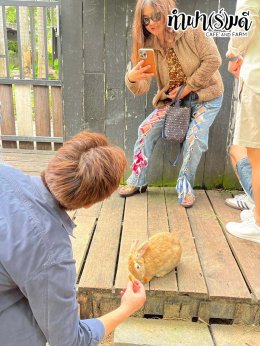 ManpowerGroup 21 พฤศจิกายน 2568