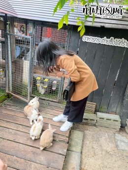 ManpowerGroup 21 พฤศจิกายน 2568