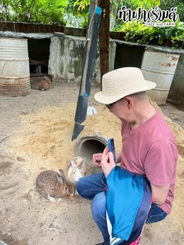 ManpowerGroup 21 พฤศจิกายน 2568