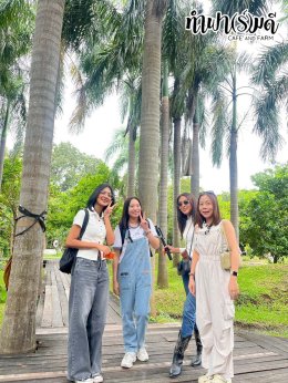 ManpowerGroup 21 พฤศจิกายน 2568