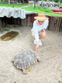 ManpowerGroup 21 พฤศจิกายน 2568