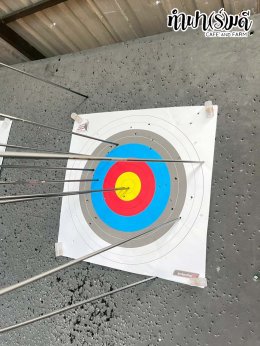 ManpowerGroup 21 พฤศจิกายน 2568