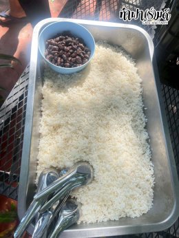 โรงแรมชามาเย็นอากาศ 16 ตุลาคม 2568