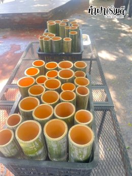 โรงแรมชามาเย็นอากาศ 16 ตุลาคม 2568