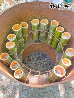 โรงแรมชามาเย็นอากาศ 16 ตุลาคม 2568