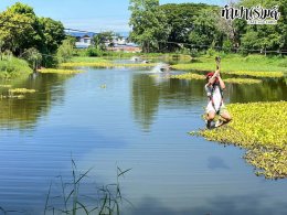 โรงแรมชามาเย็นอากาศ 16 ตุลาคม 2568