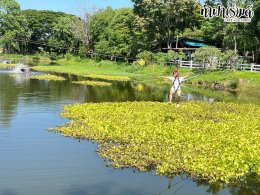 โรงแรมชามาเย็นอากาศ 16 ตุลาคม 2568