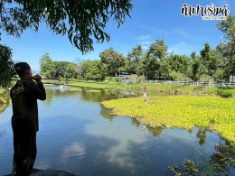 โรงแรมชามาเย็นอากาศ 16 ตุลาคม 2568