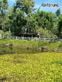 โรงแรมชามาเย็นอากาศ 16 ตุลาคม 2568